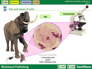 U01 Basis Of Life | PPT