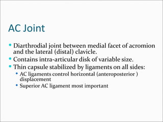 AC Joint
 Diarthrodial joint between medial facet of acromion
  and the lateral (distal) clavicle.
 Contains intra-articular disk of variable size.
 Thin capsule stabilized by ligaments on all sides:
   AC ligaments control horizontal (anteroposterior )
    displacement
   Superior AC ligament most important
 