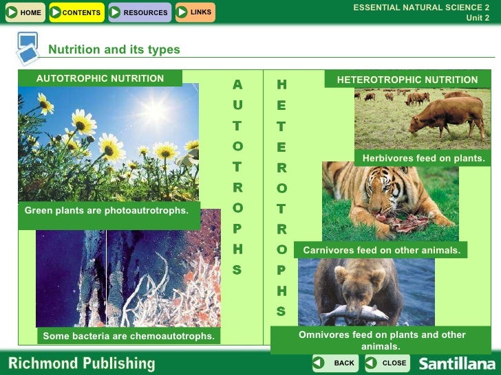️ Autotrophic nutrition types. Autotrophic Nutrition in green plants , Mechanism of water