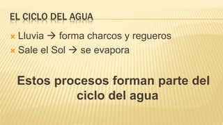EL CICLO DEL AGUA
 Lluvia  forma charcos y regueros
 Sale el Sol  se evapora
Estos procesos forman parte del
ciclo del agua
 