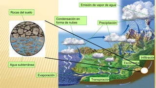 Emisión de vapor de agua
Evaporación
Condensación en
forma de nubes Precipitación
Escorrentía
Transpiración
Infiltración
Rocas del suelo
Agua subterránea
 