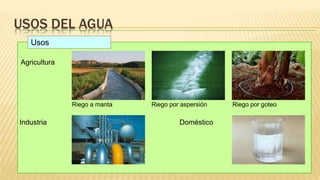 USOS DEL AGUA
Usos
Agricultura
Industria Doméstico
Riego a manta Riego por aspersión Riego por goteo
 