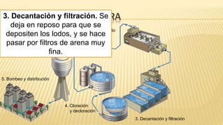 PLANTA POTABILIZADORA
1. Captación y desbastado
2. Pretratamiento
3. Decantación y filtración
4. Cloración
y decloración
5. Bombeo y distribución
3. Decantación y filtración. Se
deja en reposo para que se
depositen los lodos, y se hace
pasar por filtros de arena muy
fina.
 