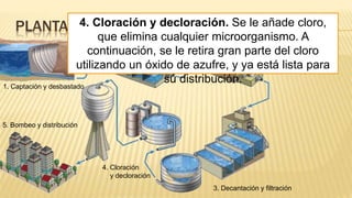 PLANTA POTABILIZADORA
1. Captación y desbastado
2. Pretratamiento
3. Decantación y filtración
4. Cloración
y decloración
5. Bombeo y distribución
4. Cloración y decloración. Se le añade cloro,
que elimina cualquier microorganismo. A
continuación, se le retira gran parte del cloro
utilizando un óxido de azufre, y ya está lista para
su distribución.
 