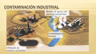 CONTAMINACIÓN INDUSTRIAL
 