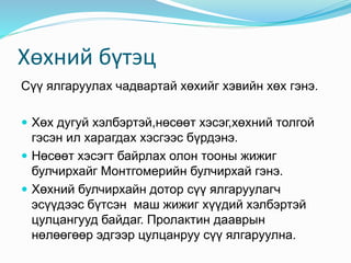 Хөхөөр хооллолт | PPT