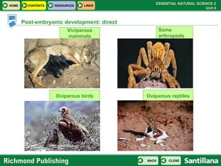 Some arthropods Oviparous birds Viviparous mammals Post-embryonic development: direct Oviparous reptiles 