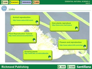 Links Animal reproduction http://www.saburchill.com/chapters/chap0031.html Plant Reproduction Tutorial http://www.skoool.ie/content/skoool_learning/junior/lessons/science/plant_reproduction/flash/h-frame-ie.htm Growing plants  http://www.bbc.co.uk/scotland/education/bitesize/standard/biology/world_of_plants/growing_plants_rev1.shtml How plants reproduce http://www.emc.maricopa.edu/faculty/farabee/BIOBK/BioBookflowers.html Flowers and reproduction http://www.saburchill.com/chapters/chap0041.html 