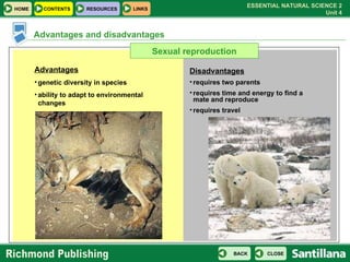 Advantages and disadvantages Advantages genetic diversity in species ability to adapt to environmental changes Disadvantages requires two parents requires time and energy to find a mate and reproduce requires travel Sexual reproduction 