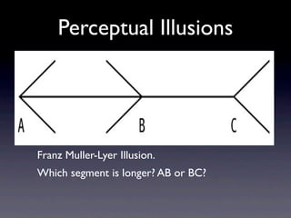 Perception Slides