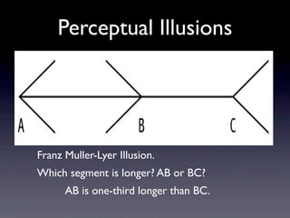 Perception Slides