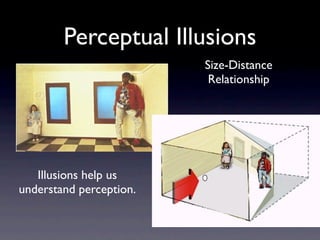 Perception Slides