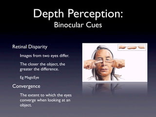 Perception Slides