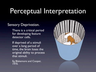 Perception Slides