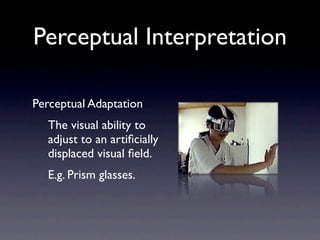 Perception Slides