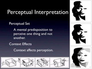 Perception Slides