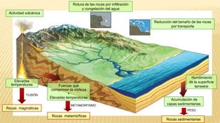 Rotura de las rocas por infiltración
                                        y congelación del agua
 Actividad volcánica

                                                                          Reducción del tamaño de las rocas
                                                                                   por transporte




                                                                                               Hundimiento
    Elevadas                                                                                  de la superficie
  temperaturas              Fuerzas que                                                           terrestre
                        comprimen la corteza
           FUSIÓN                +
                       Elevadas temperaturas
                                                                                   Acumulación de
                                  METAMORFISMO                                   capas sedimentarias
Rocas magmáticas                                                                             PESO
                        Rocas metamórficas
                                                                                 Rocas sedimentarias
 