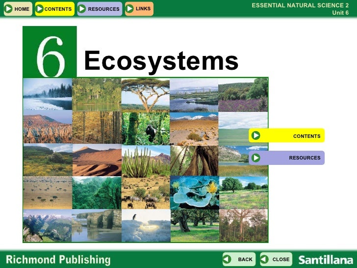 types of ecosystems
