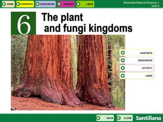 The plant and fungi kingdoms CONTENTS RESOURCES ACTIVITY LINKS HOME CONTENTS RESOURCES ACTIVITY LINKS CLOSE BACK 