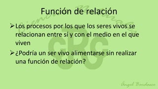 Función de relación
Los procesos por los que los seres vivos se
 relacionan entre sí y con el medio en el que
 viven
¿Podría un ser vivo alimentarse sin realizar
 una función de relación?
 