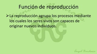 Función de reproducción
La reproducción agrupa los procesos mediante
 los cuales los seres vivos son capaces de
 originar nuevos individuos.
 