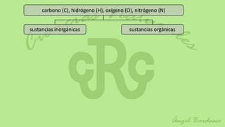 carbono (C), hidrógeno (H), oxígeno (O), nitrógeno (N)


sustancias inorgánicas                     sustancias orgánicas
 