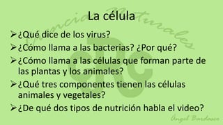 La célula
¿Qué dice de los virus?
¿Cómo llama a las bacterias? ¿Por qué?
¿Cómo llama a las células que forman parte de
 las plantas y los animales?
¿Qué tres componentes tienen las células
 animales y vegetales?
¿De qué dos tipos de nutrición habla el video?
 