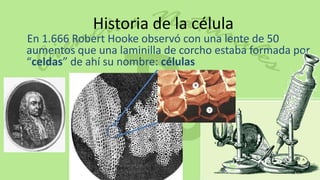Historia de la célula
En 1.666 Robert Hooke observó con una lente de 50
aumentos que una laminilla de corcho estaba formada por
“celdas” de ahí su nombre: células
 