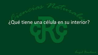 ¿Qué tiene una célula en su interior?
 