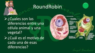RoundRobin

¿Cuales son las
 diferencias entre una
 célula animal y una
 vegetal?
¿Cuál es el motivo de
 cada una de esas
 diferencias?
 