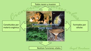 Todos nacen y mueren




Constituidos por                                  Formados por
materia orgánica                                     células




                     Realizan funciones vitales
 
