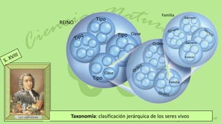 Familia
                                                                             Género
                                 Tipo
                  REINO

                                              Tipo Clase
                                                           Orden             Género


                                                                             Especie




                                      Clase
                               Tipo
                                                                   Familia




Carl von Linneo       Taxonomía: clasificación jerárquica de los seres vivos
 