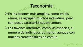 Taxonomía
En los taxones más amplios, como en los
 reinos, se agrupan muchos individuos, pero
 con pocas características en común.
Los taxones inferiores, como las especies, el
 número de individuos es menor, aunque con
 muchas características en común.
 