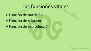 Las funciones vitales
Función de nutrición
Función de relación
Función de reproducción
 
