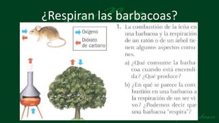 ¿Respiran las barbacoas?
 