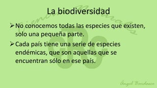 La biodiversidad
No conocemos todas las especies que existen,
 solo una pequeña parte.
Cada país tiene una serie de especies
 endémicas, que son aquellas que se
 encuentran sólo en ese país.
 