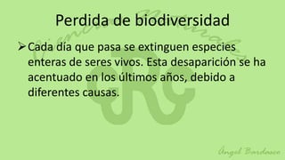 Perdida de biodiversidad
Cada día que pasa se extinguen especies
 enteras de seres vivos. Esta desaparición se ha
 acentuado en los últimos años, debido a
 diferentes causas.
 