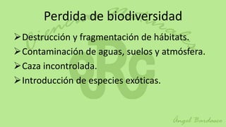 Perdida de biodiversidad
Destrucción y fragmentación de hábitats.
Contaminación de aguas, suelos y atmósfera.
Caza incontrolada.
Introducción de especies exóticas.
 