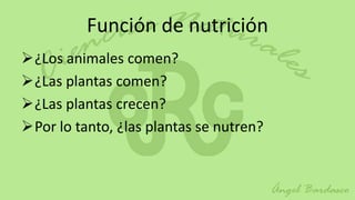 Función de nutrición
¿Los animales comen?
¿Las plantas comen?
¿Las plantas crecen?
Por lo tanto, ¿las plantas se nutren?
 
