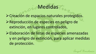 Medidas
Creación de espacios naturales protegidos.
Reproducción de especies en peligro de
 extinción, en lugares controlados,
Elaboración de listas de especies amenazadas
 y en peligro de extinción, para aplicar medidas
 de protección.
 