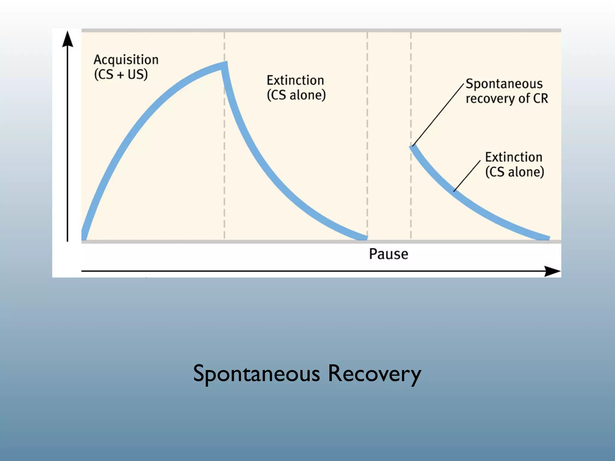 Spontaneous Recovery
 