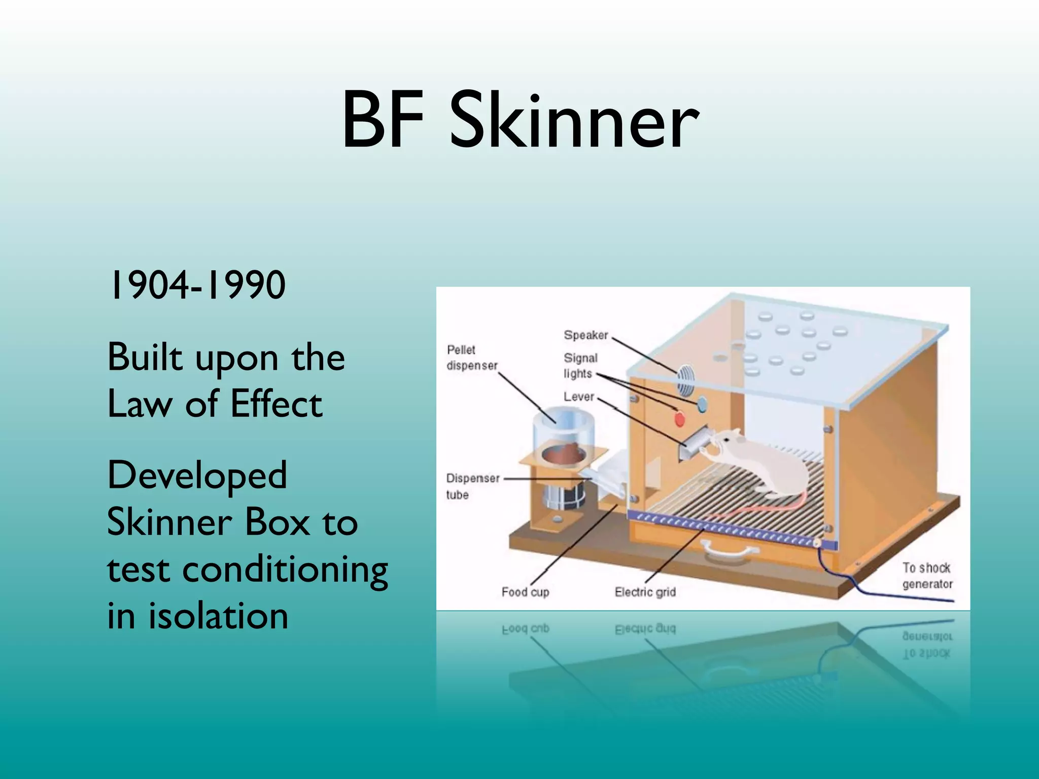 BF Skinner
1904-1990
Built upon the
Law of Effect
Developed
Skinner Box to
test conditioning
in isolation
 