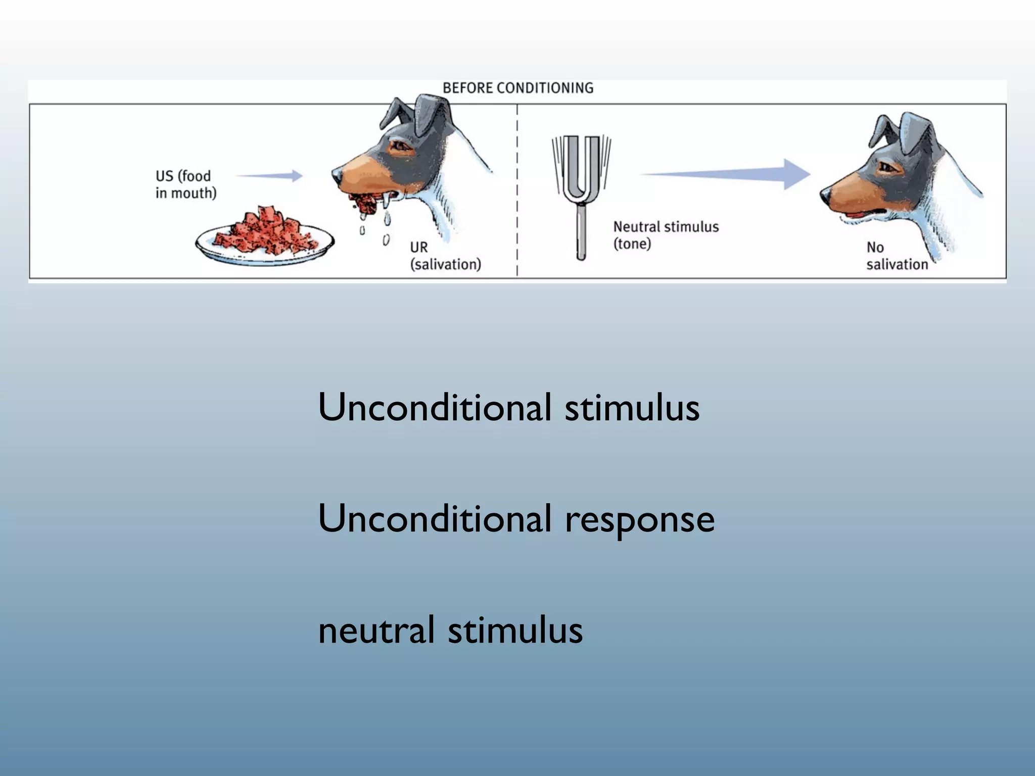 Unconditional stimulus

Unconditional response

neutral stimulus
 
