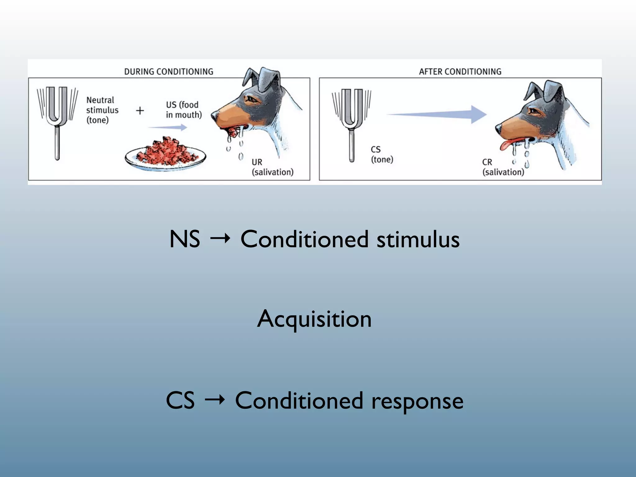 NS → Conditioned stimulus


       Acquisition


CS → Conditioned response
 
