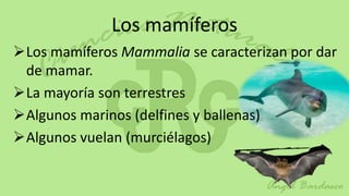 Los mamíferos
Los mamíferos Mammalia se caracterizan por dar
 de mamar.
La mayoría son terrestres
Algunos marinos (delfines y ballenas)
Algunos vuelan (murciélagos)
 