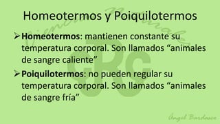 Homeotermos y Poiquilotermos
Homeotermos: mantienen constante su
 temperatura corporal. Son llamados “animales
 de sangre caliente”
Poiquilotermos: no pueden regular su
 temperatura corporal. Son llamados “animales
 de sangre fría”
 