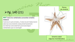 Planos
                                de simetría

Pg. 140 (21)




                     Simetría radial
                (algunos invertebrados)
 