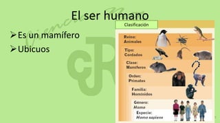 El ser humano
                     Clasificación

Es un mamífero
Ubicuos
 