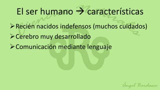 El ser humano  características
Recién nacidos indefensos (muchos cuidados)
Cerebro muy desarrollado
Comunicación mediante lenguaje
 