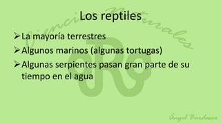 Los reptiles
La mayoría terrestres
Algunos marinos (algunas tortugas)
Algunas serpientes pasan gran parte de su
 tiempo en el agua
 